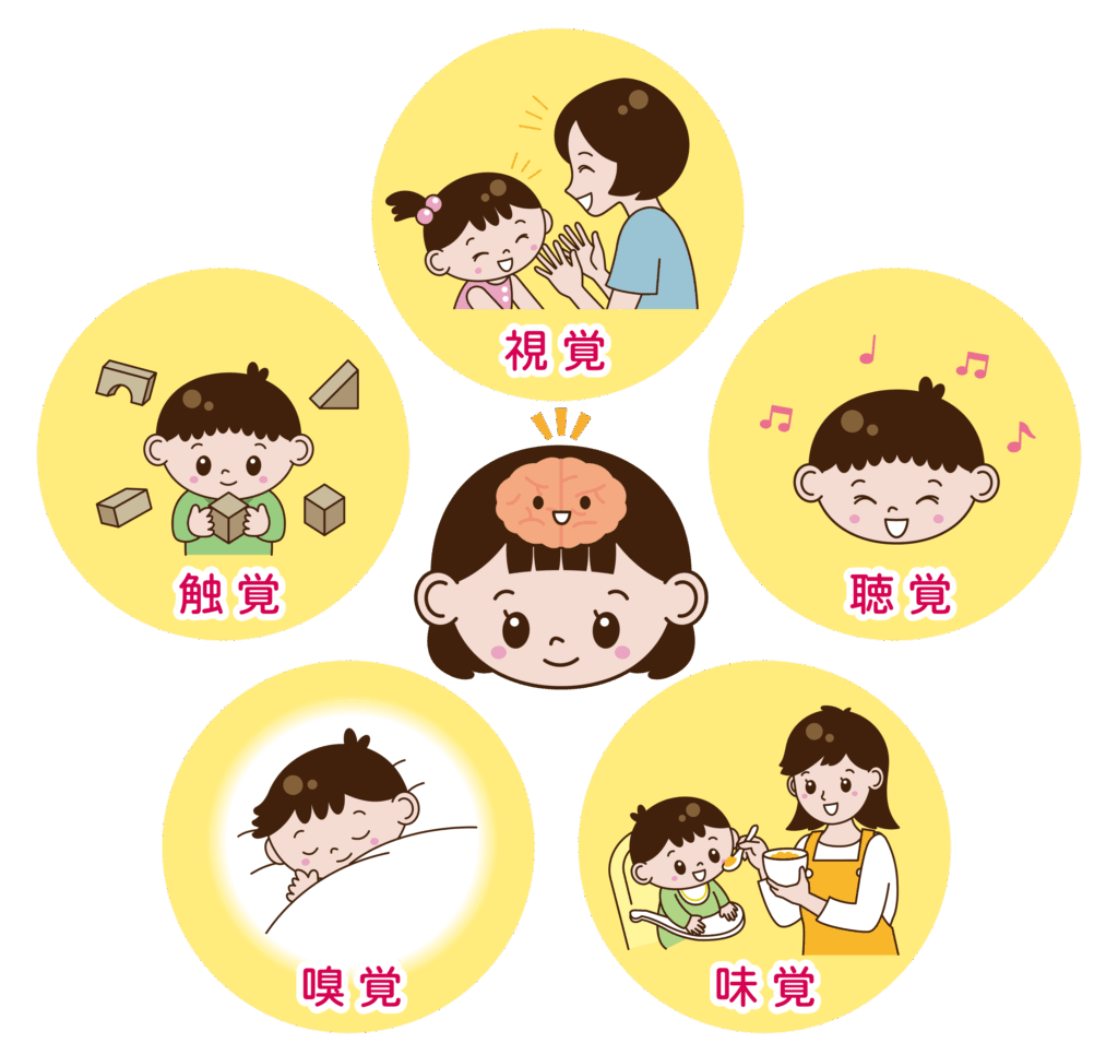 五感の種類